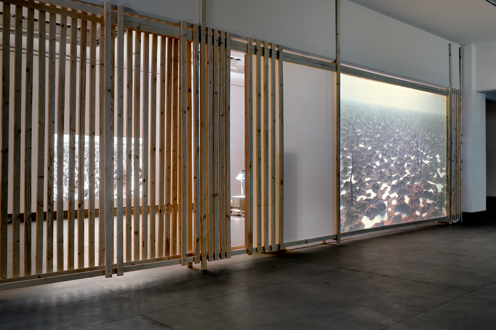 foto: manfred bogner, berlin