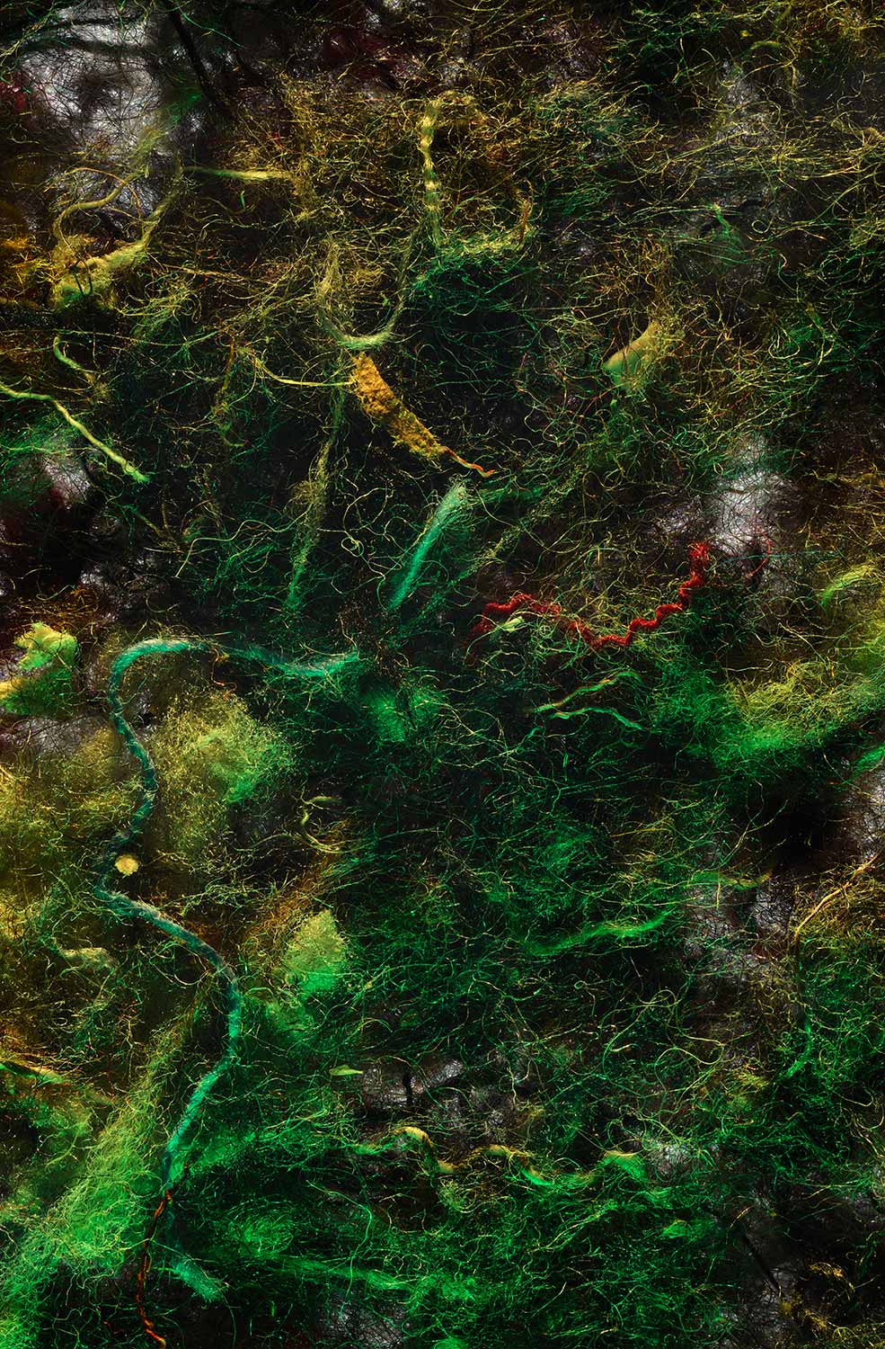 foto: manfred bogner, berlin, nothing to see here