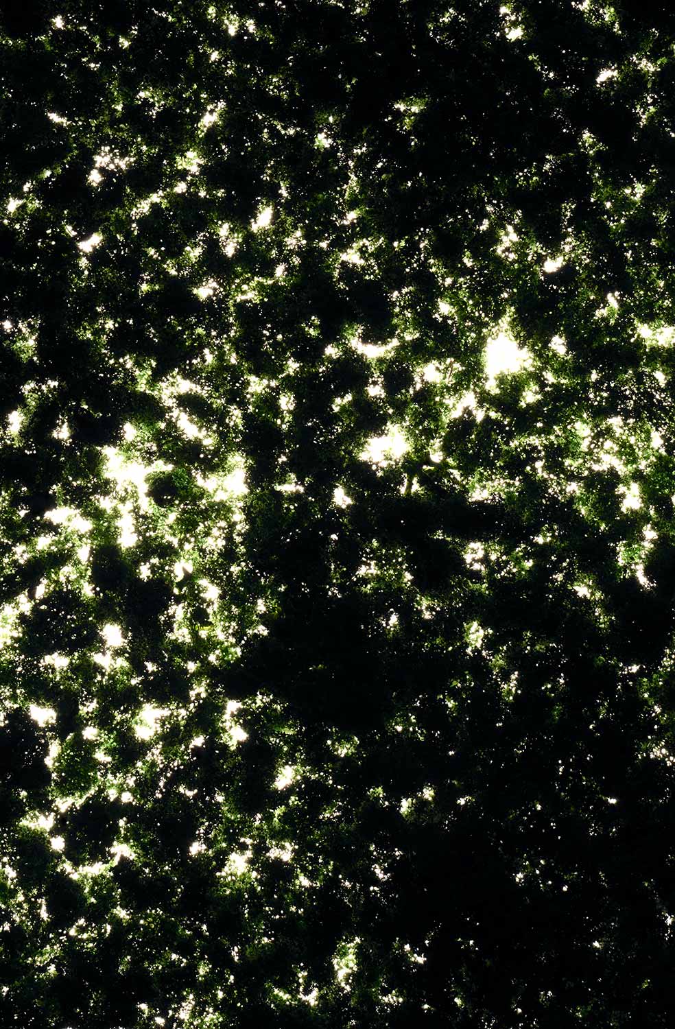 foto: manfred bogner, berlin, nothing to see here